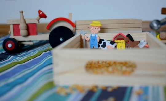Farmer kukurydzy - zabawa sensoryczna z ziarnem